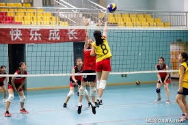 《黎明行者之血》没有主线任务 自由度接近《辐射1和2》