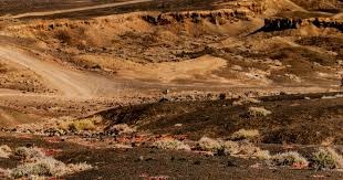 真一骑当千！《全面战争：三国》吕布实力强悍勇冠三军