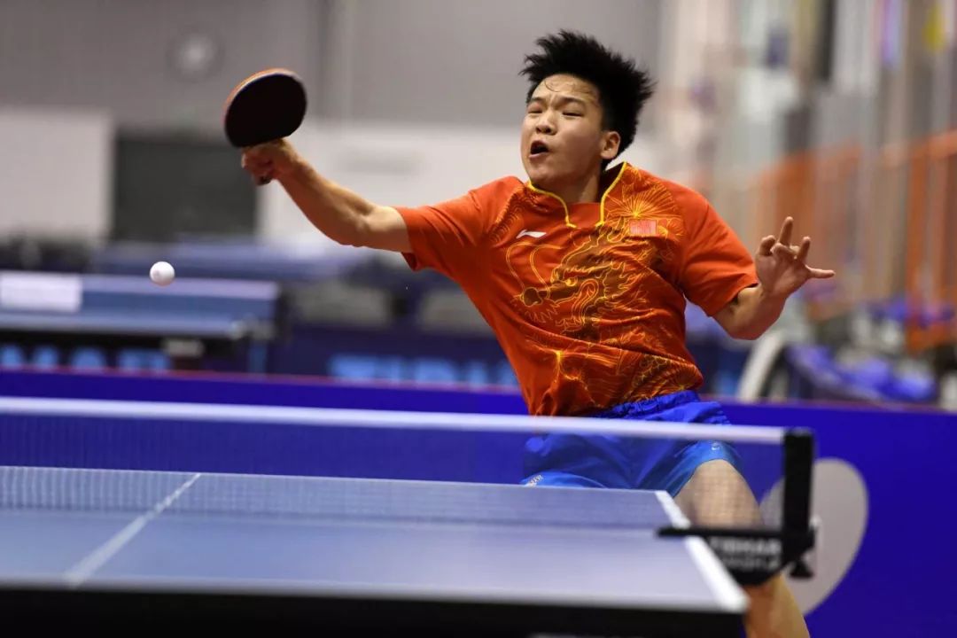 提供了展示 提供了展示